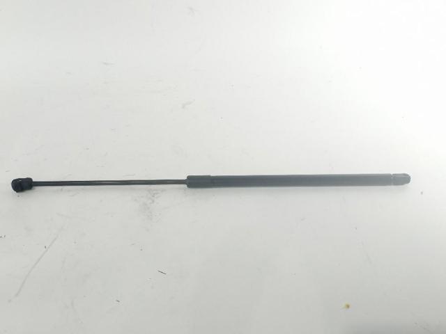 Amortecedor da capota DS73F16C827AC FORD