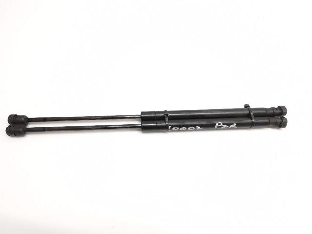 Amortecedor de tampa de porta-malas (de 3ª/5ª porta traseira) E84827465A RENAULT