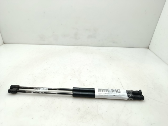 E84827465A Renault (RVI)