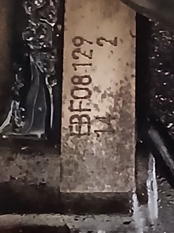 EBF VAG