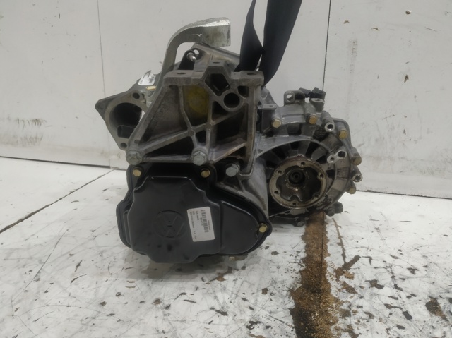 EBF VAG