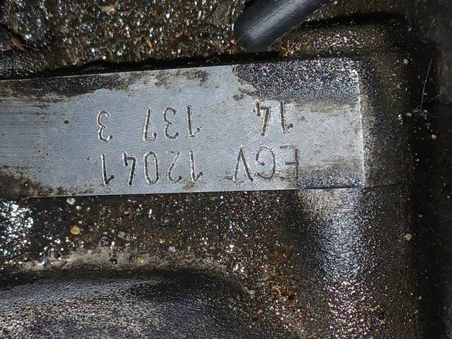 EGV VAG
