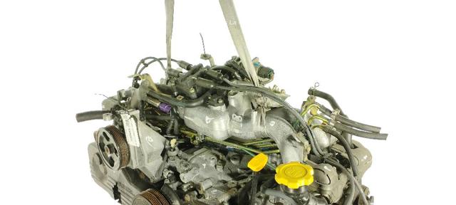 Comprar  Forester II S11, SG