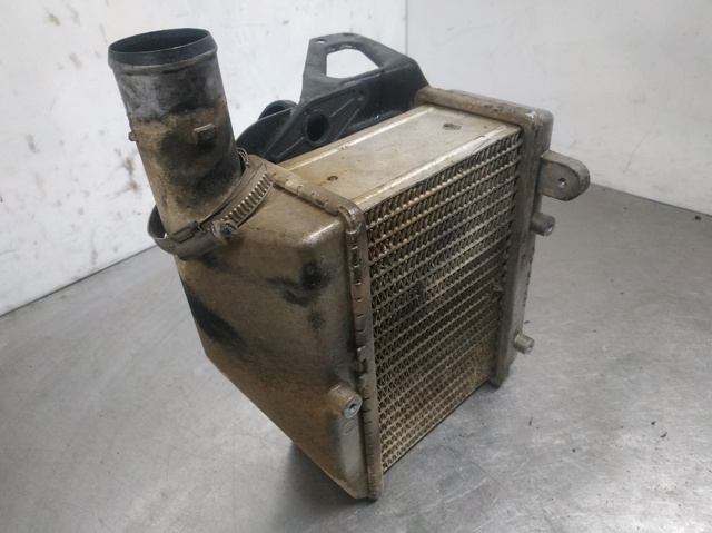  para Nissan Primera  (WP12)