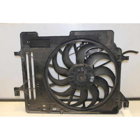 Difusor do radiador de esfriamento, montado com motor e roda de aletas F1F18C607HD FORD