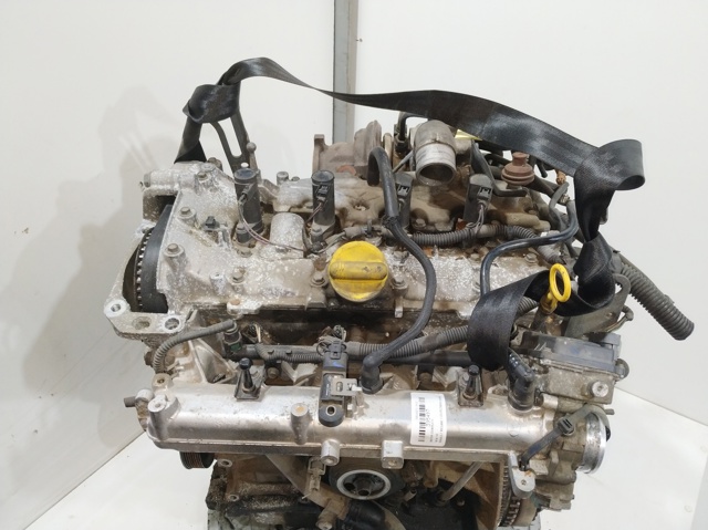 Motor montado Nissan Terrano III D10 ao melhor preço
