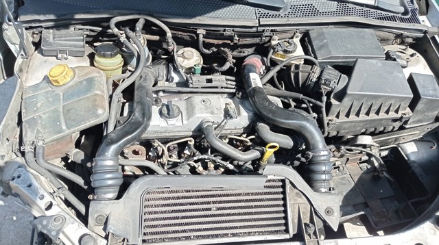 Motor montado Ford Focus I DFW ao melhor preço