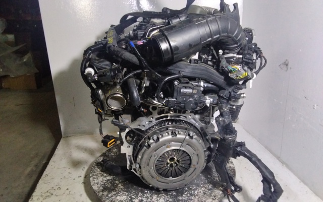 G4LK Hyundai/Kia