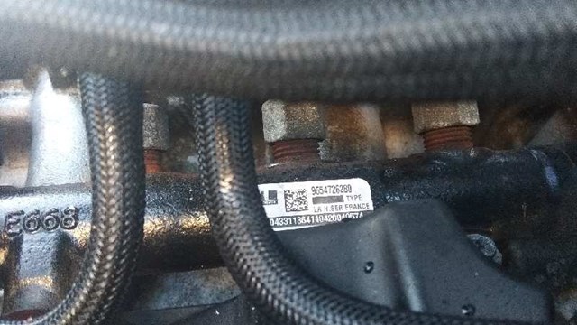 Comprar  C-Max  DM2