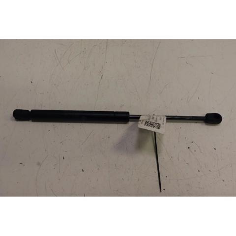 Amortecedor de tampa de porta-malas (de 3ª/5ª porta traseira) GNA3800AB JAGUAR