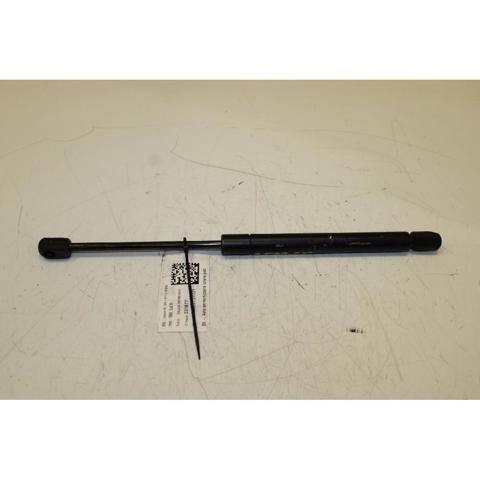 Amortecedor de tampa de porta-malas (de 3ª/5ª porta traseira) GNA3800AB JAGUAR