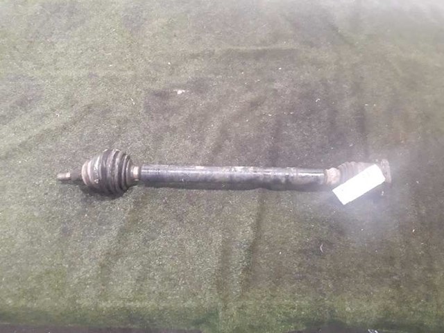 JZW407450MX VAG