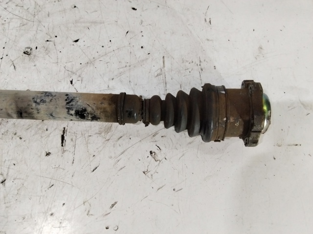 JZW407450MX VAG