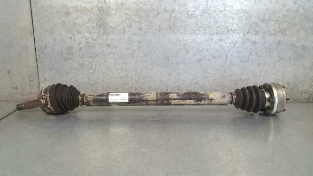 JZW407450X VAG