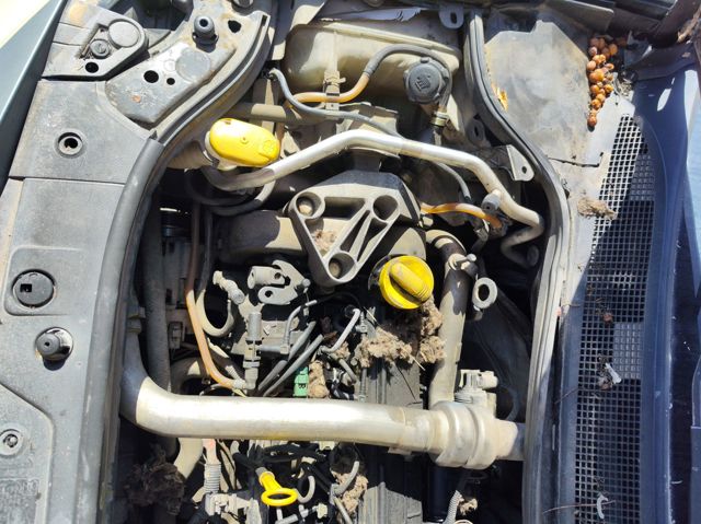 Motor montado K9K728 RENAULT