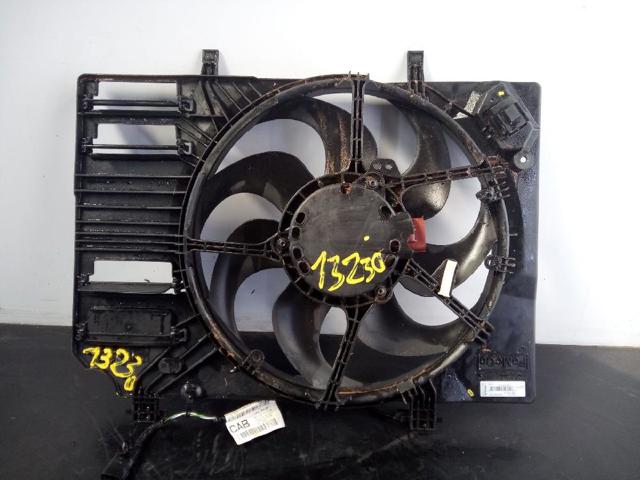 Difusor do radiador de esfriamento, montado com motor e roda de aletas L1BG8C607AA FORD