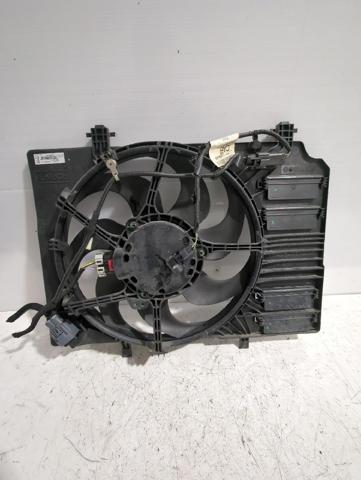 Difusor do radiador de esfriamento, montado com motor e roda de aletas L1BG8C607AA FORD
