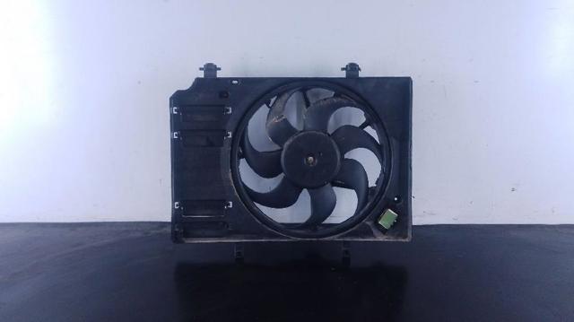 Difusor do radiador de esfriamento, montado com motor e roda de aletas L1BG8C607AB FORD