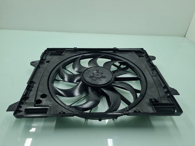 Difusor do radiador de esfriamento, montado com motor e roda de aletas LX618C607AC FORD