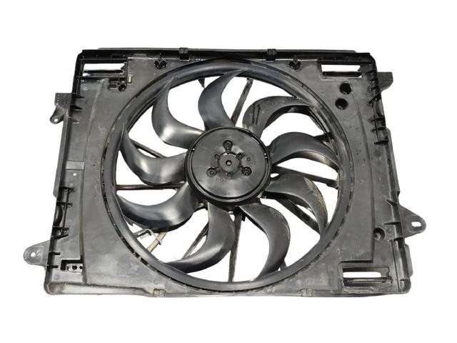 Difusor do radiador de esfriamento, montado com motor e roda de aletas LX618C607AC FORD