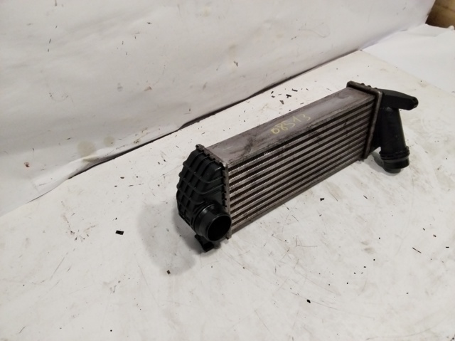 Braçadeira de plástico universal PA66GF30 MERCEDES