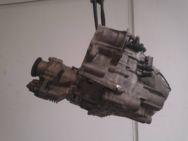 PGS VAG