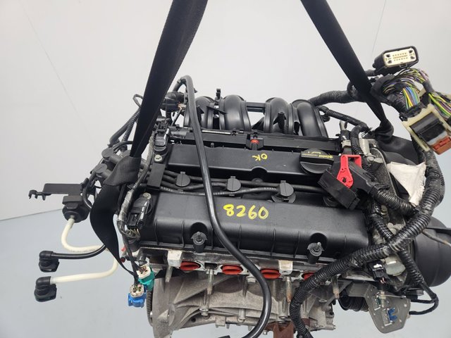 PNDD Ford