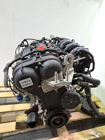 PNDD Ford