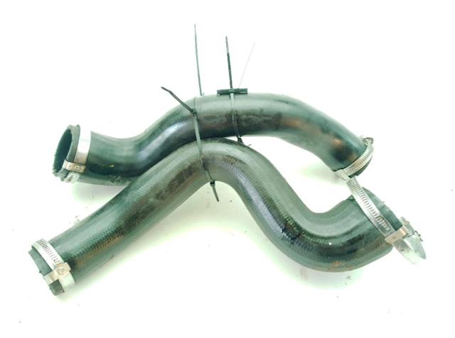 Mangueira (cano derivado) de intercooler PNH500361 LAND ROVER