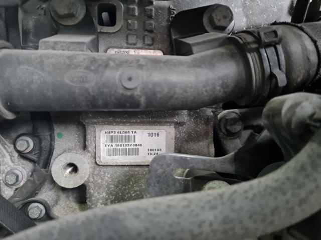 PT204 Jaguar