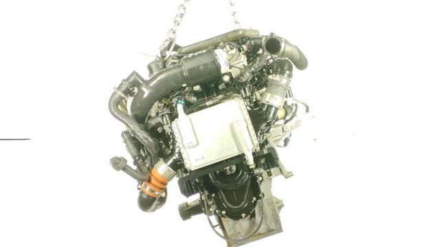 PT204 Jaguar