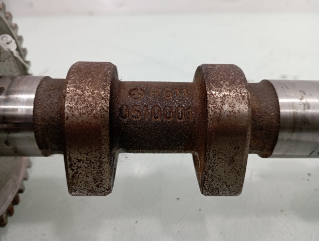 R6110510001 Mercedes