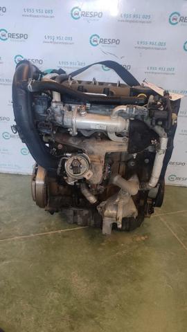 RFJ Peugeot/Citroen