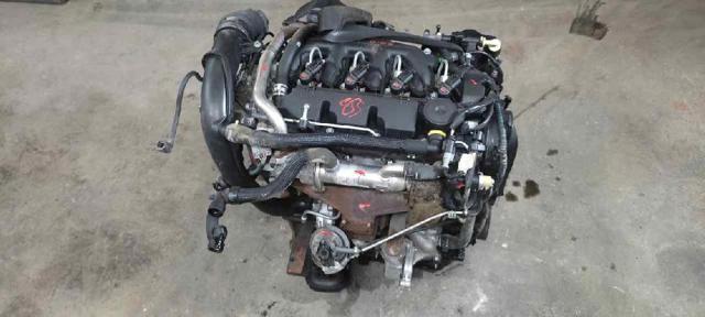 RHJ Peugeot/Citroen