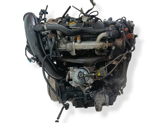 RHR Peugeot/Citroen