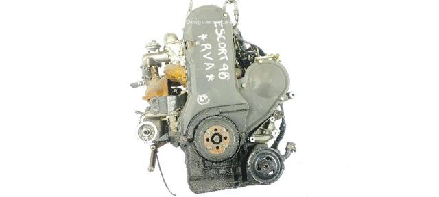  Ford Escort  (AVL)
