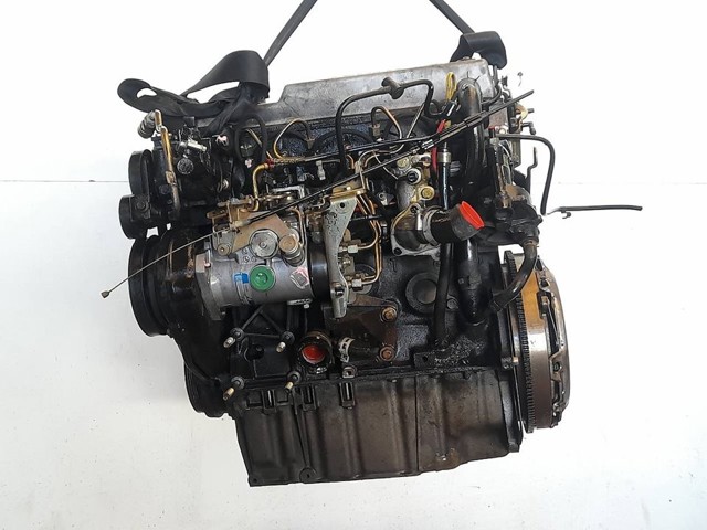 Comprar  Escort  AVL