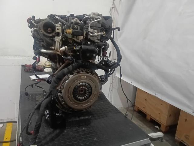 SFCF Ford