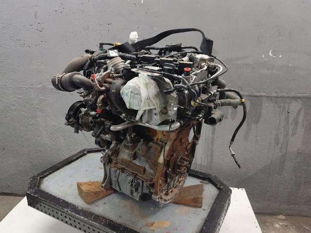 SFCF Ford