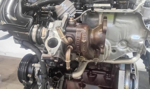 SFCF Ford