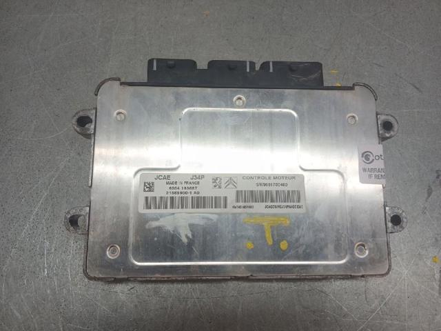 SW9661700480 Peugeot/Citroen