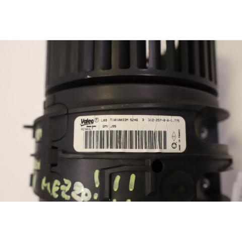 T1010033M Renault (RVI)