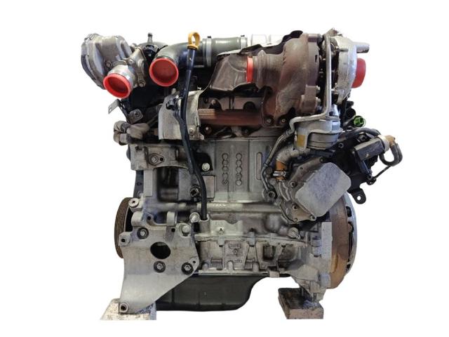 T1DB Ford