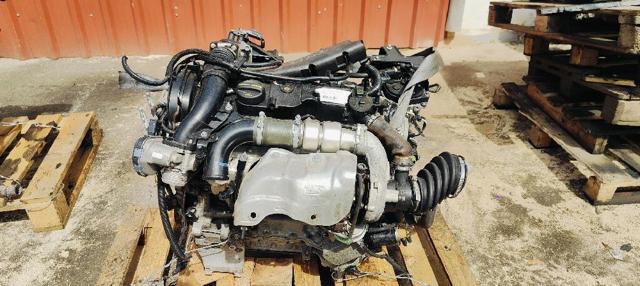 T1DB Ford
