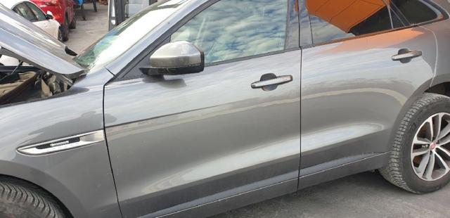 T4A1369 Jaguar