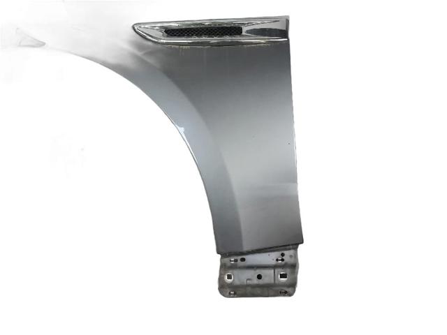 T4A15477 Jaguar