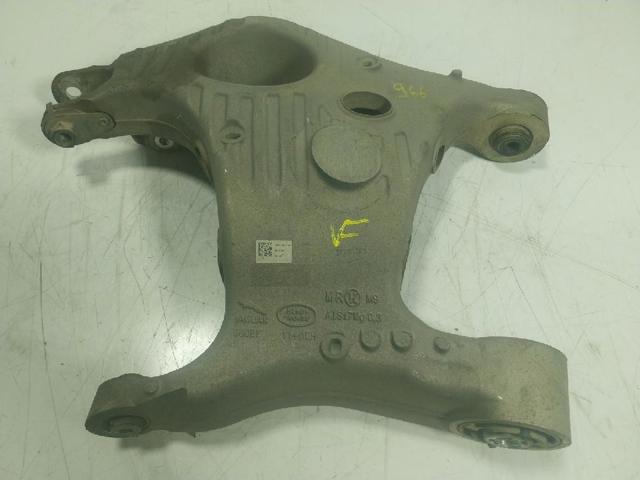 T4A8082 Jaguar