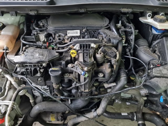 TXMA Ford