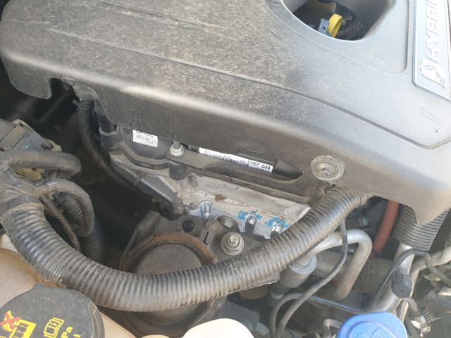 UACC Ford