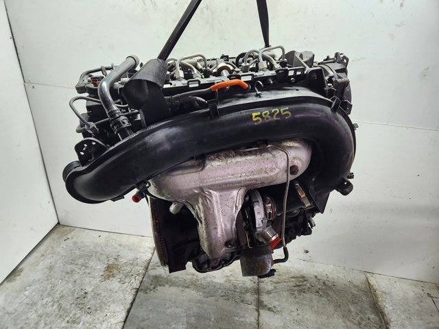 UFWA Ford